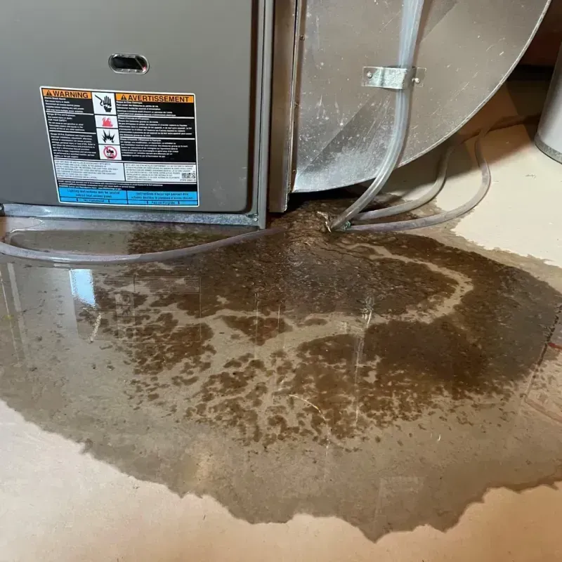 Appliance Leak Cleanup in Kandiyohi County, MN